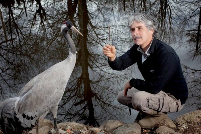 Christian Moullec avec une Grue Cendrée