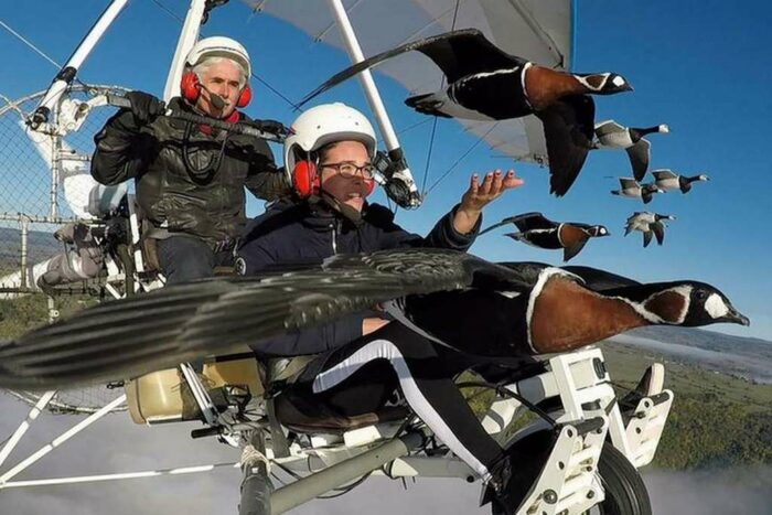 Christian Moullec en ULM avec les oies Sauvages