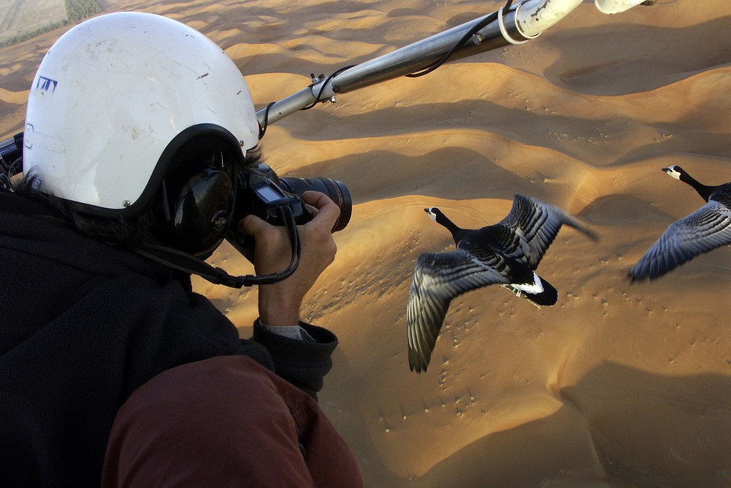 Chritian Moullec photographe oies desert