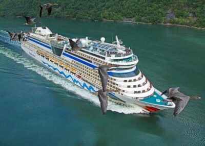 Photo oies naines à front blanc au fond d’un Fjord Norvégien