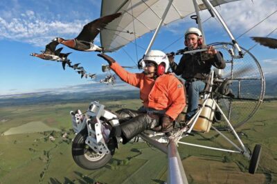 Photo vol en ULM avec mes bernaches à cou roux et nonnettes