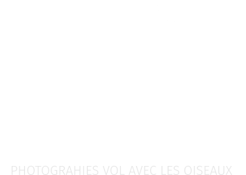 Photographe Christian Moullec Logo